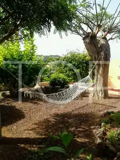 Apartment-Golf Costa Adeje-Terrace 2