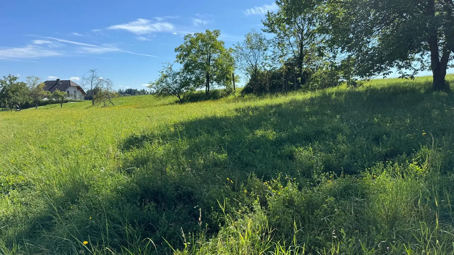 Sonniges Baugrundstück in idyllischer Lage – Edelsgrub, 8302 Nestelbach