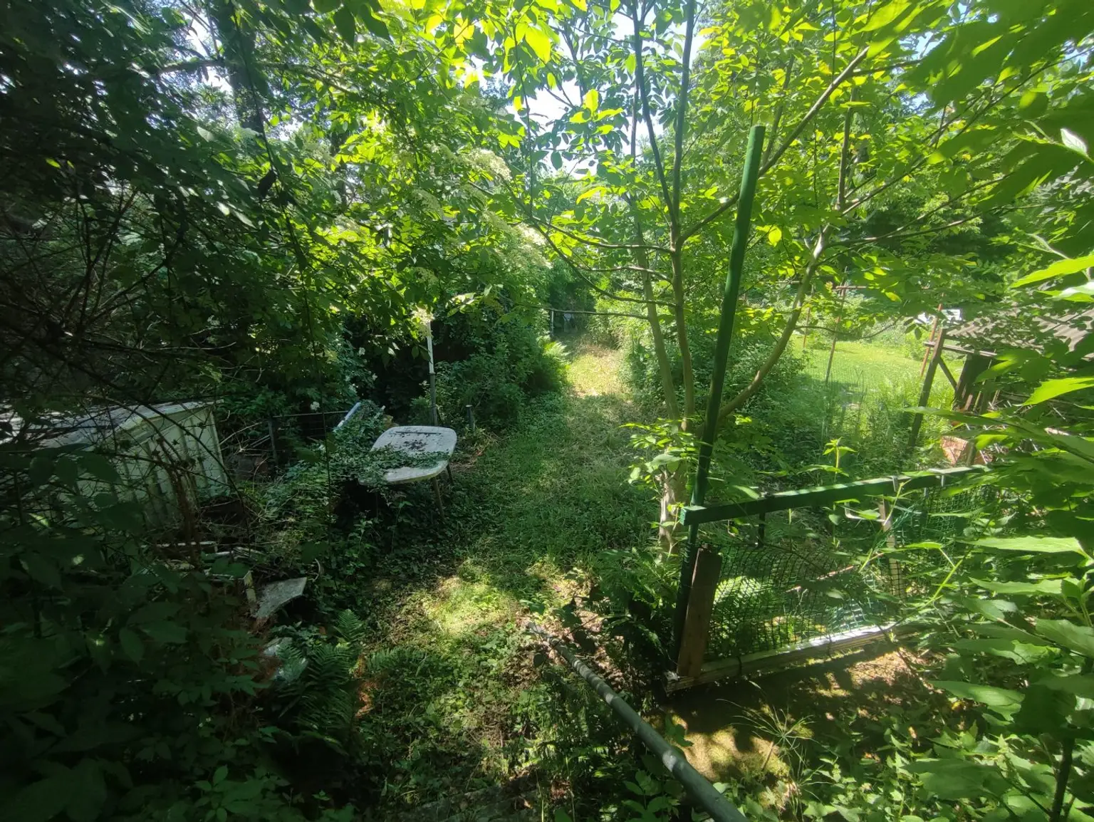Unterer Garten Bach
