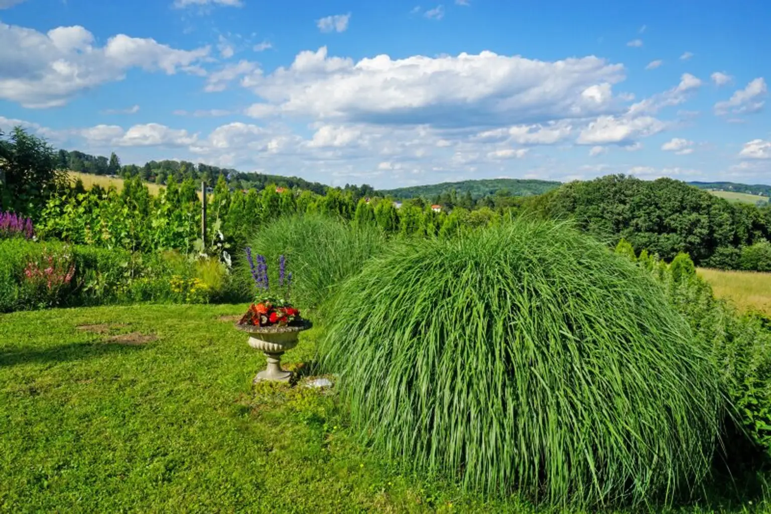 Garten Richtung unverbauter Umgebung