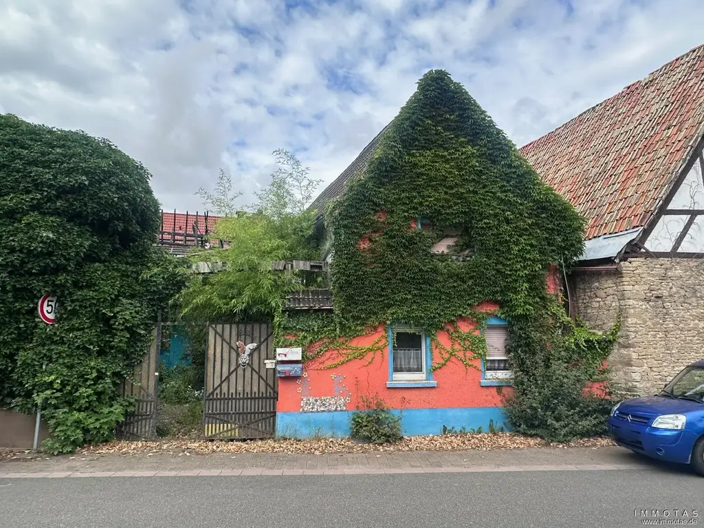Abrissgrundstück mit Neubaupotenzial – zentrale Lage in Freimersheim