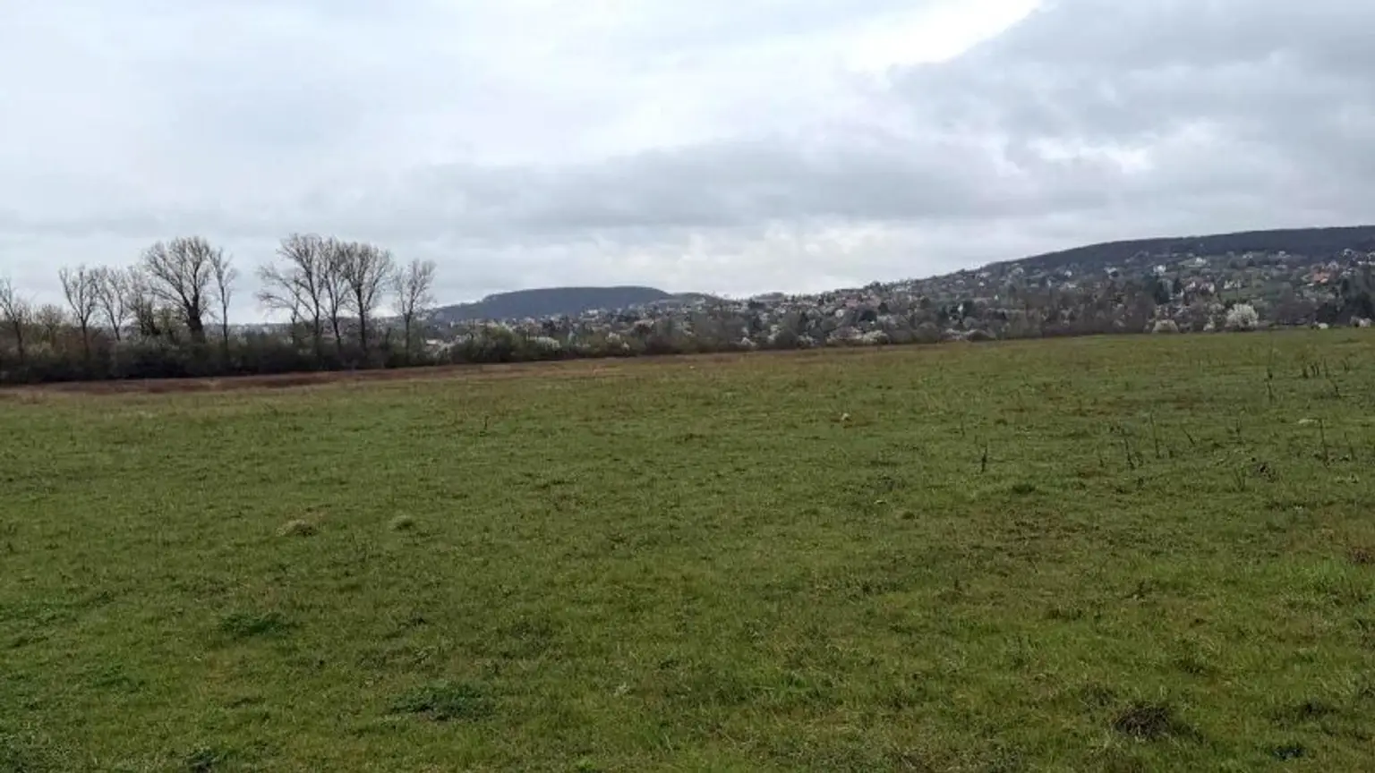 01_panorama_landscape