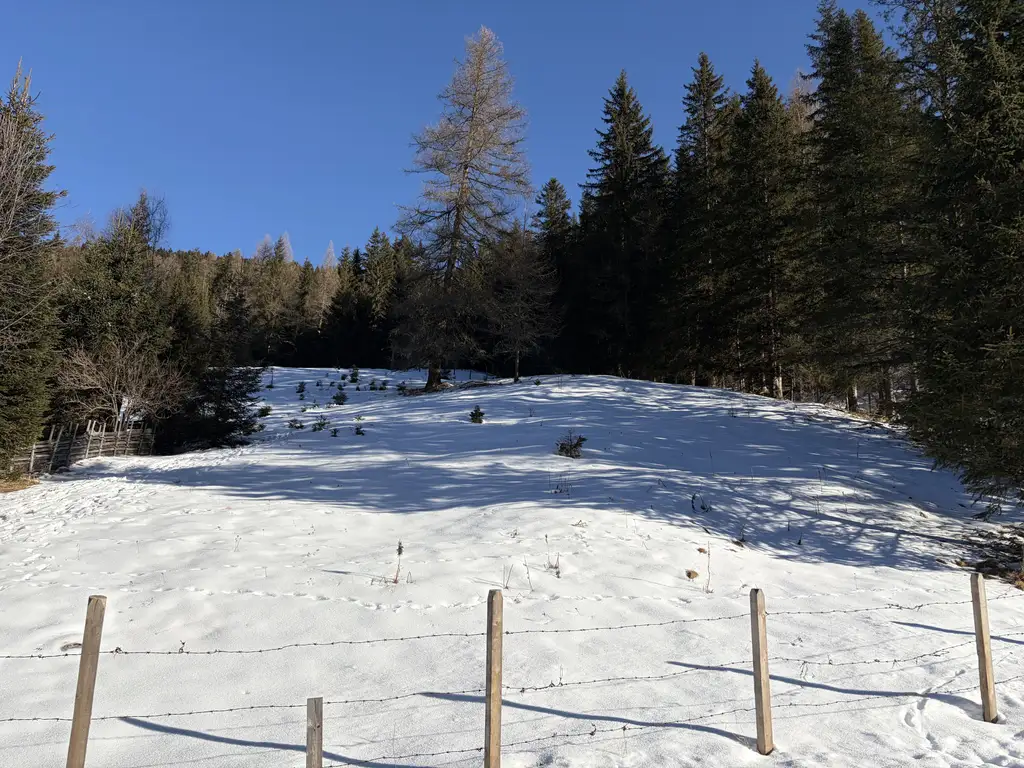 Idyllisches Freizeitgrundstück in Innerkrems: 919m² für Ihre Traum-Almhütte