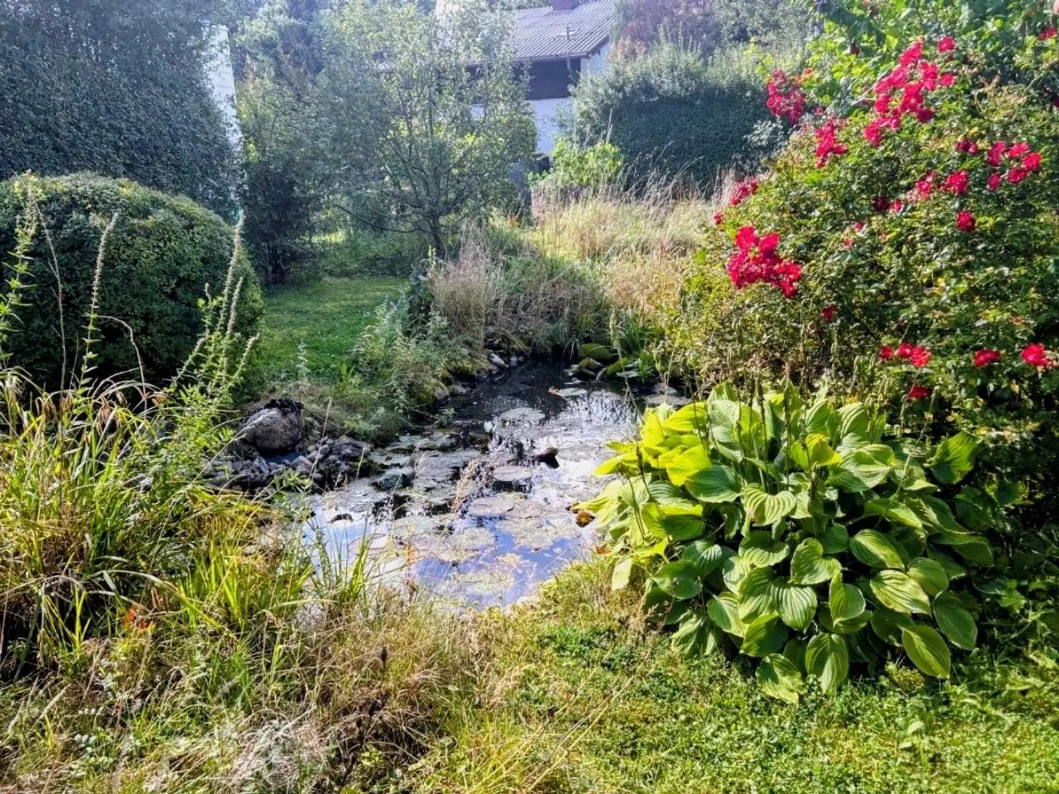 Ihre Liegenschaft in sonniger Lage