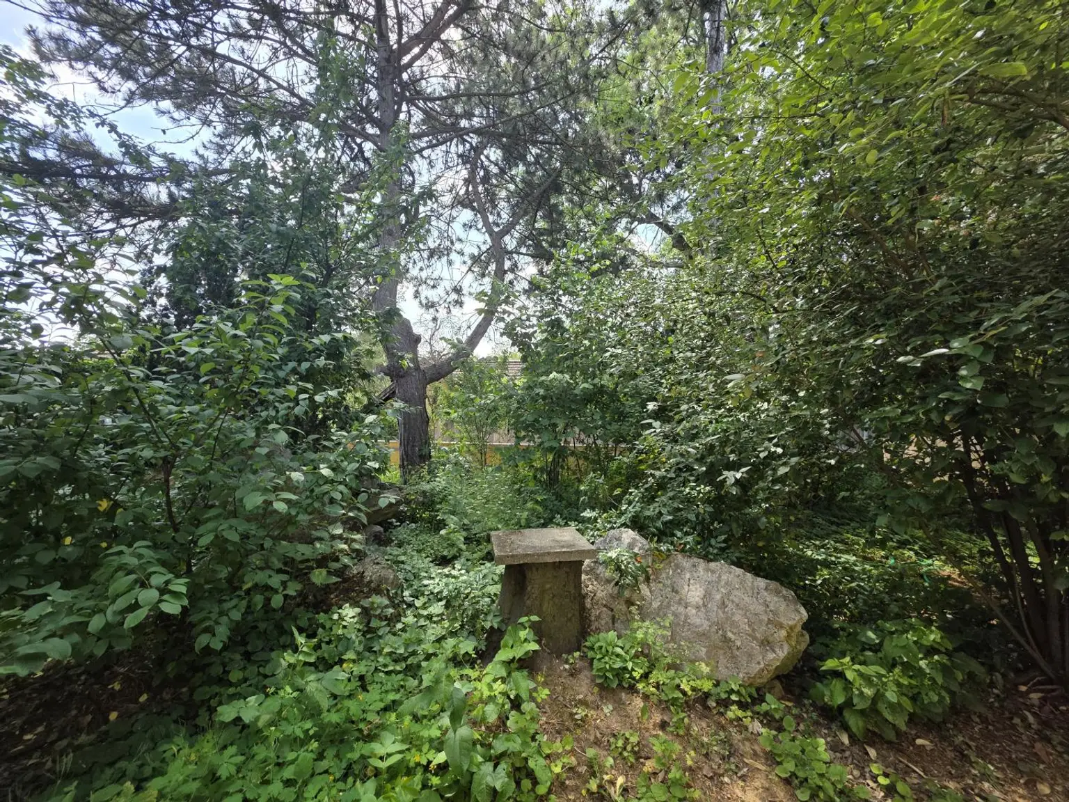 20260602_144800