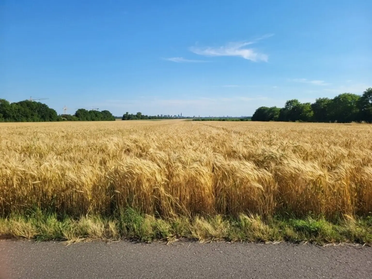 Blick zum Gegenüber