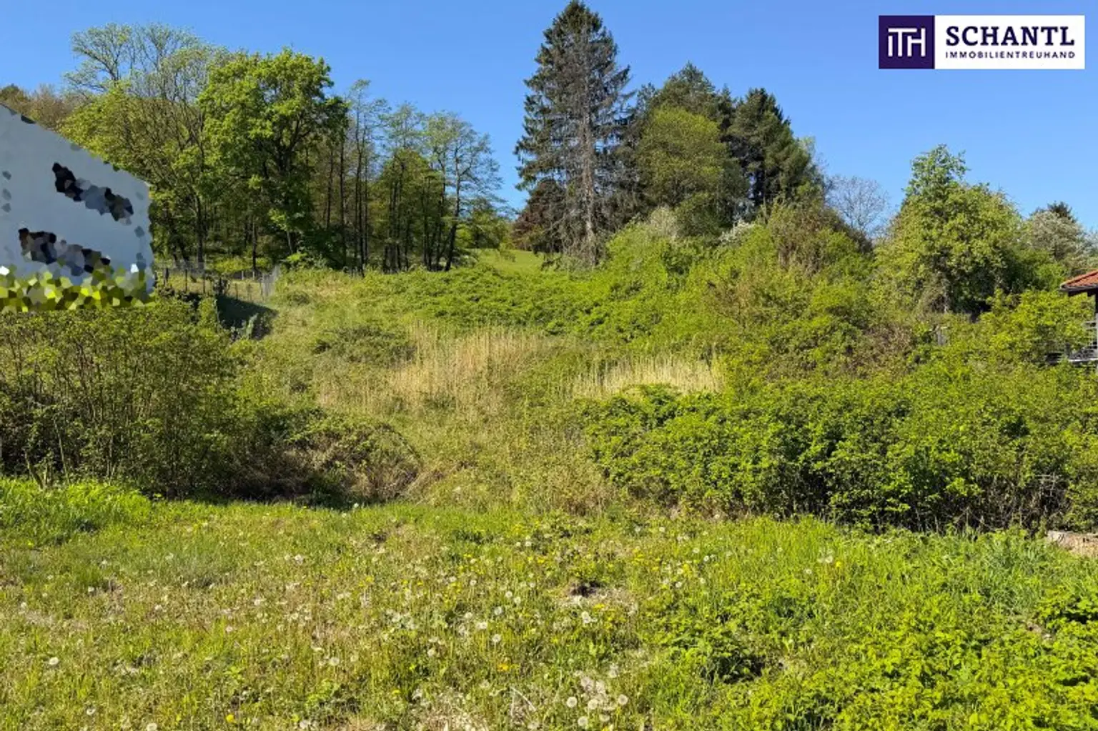 Sonnige Liegenschaft mit Entwicklungspotenzial
