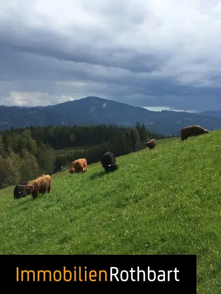 Neuwertiger Bauernhof in sonniger Lage