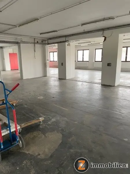 Nähe Oberwart: Große Halle/Gewerbeobjekt mit viel Nutzfläche!