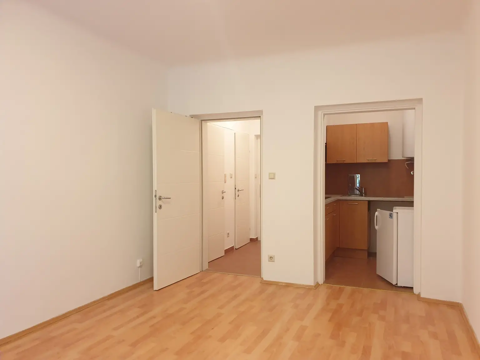 Wohn- / Schlafzimmer mit Küche