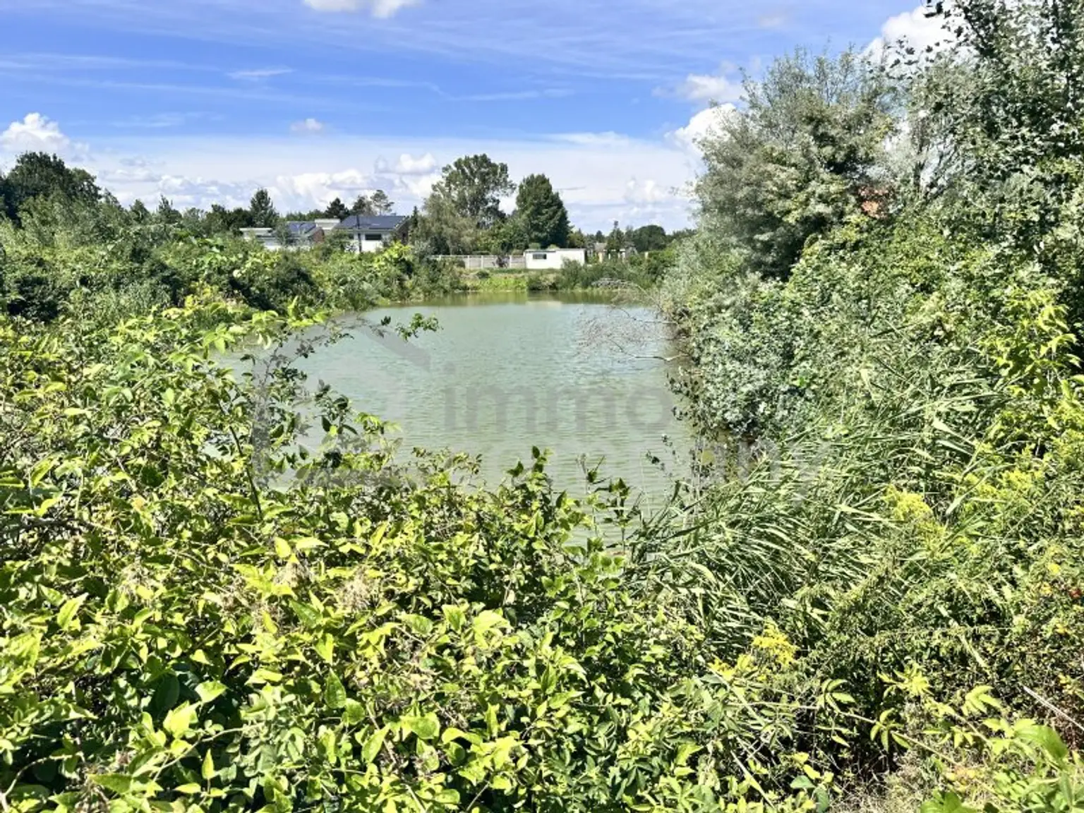 Traumhaftes Grünland Grundstück mit Fischteich in Prellenkirchen 18064m2 – Ihr Platz für Visionen!