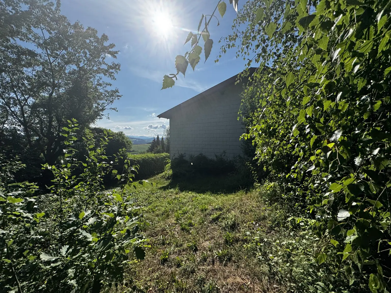 Einzigartige Liegenschaft mit Wald und Panorama
