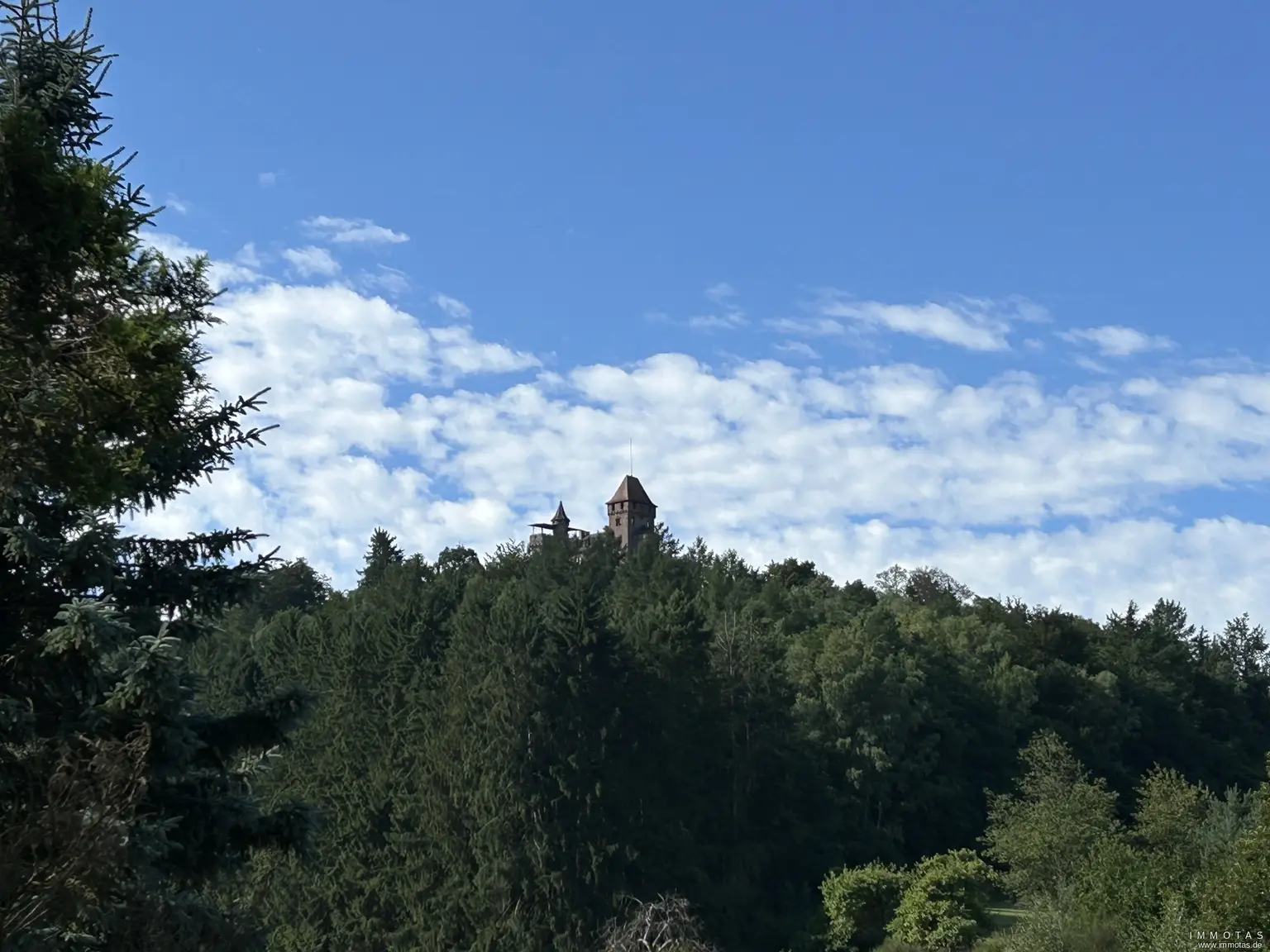 Blick auf Burg Berwartstein