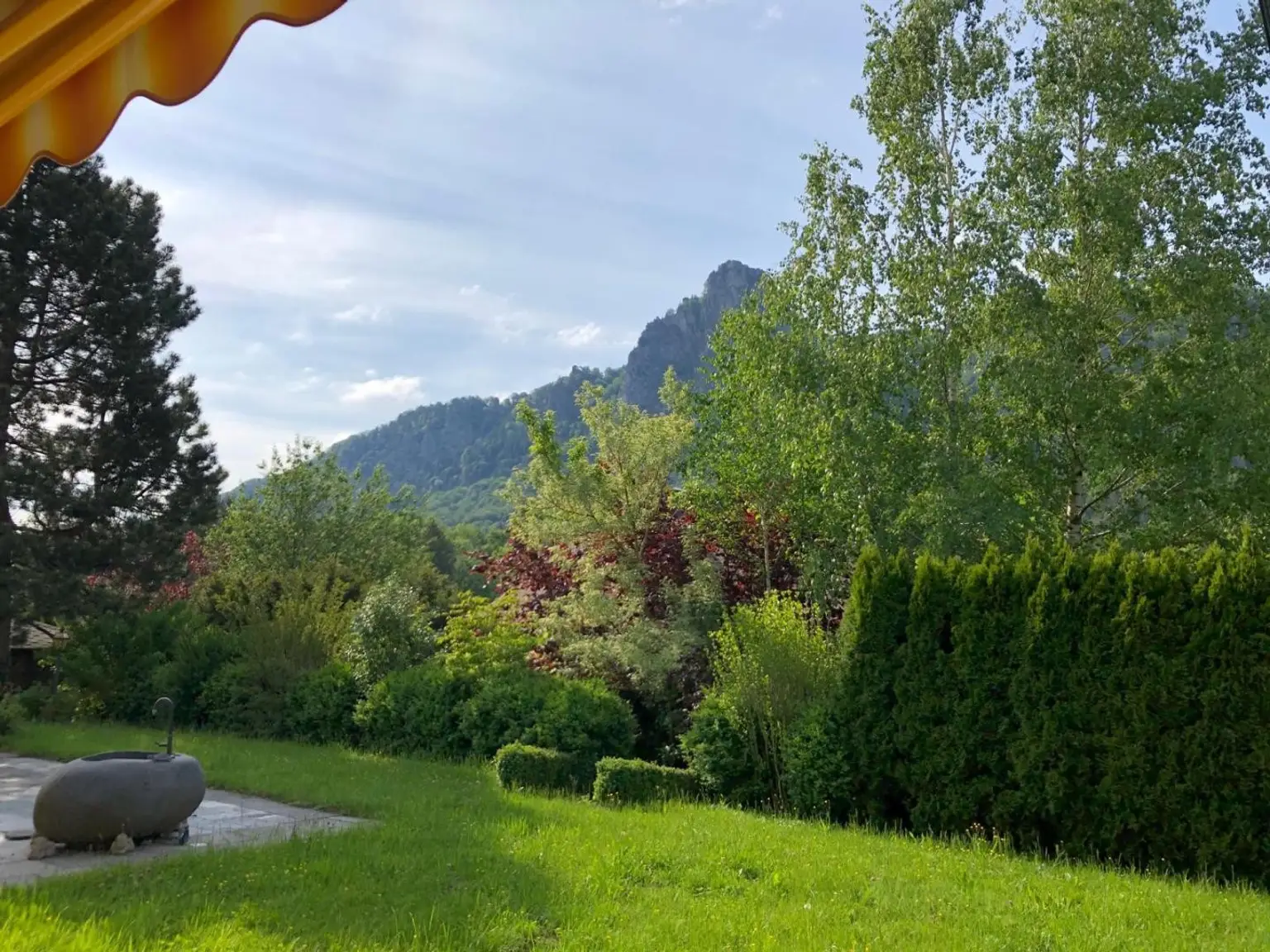 Ausblick