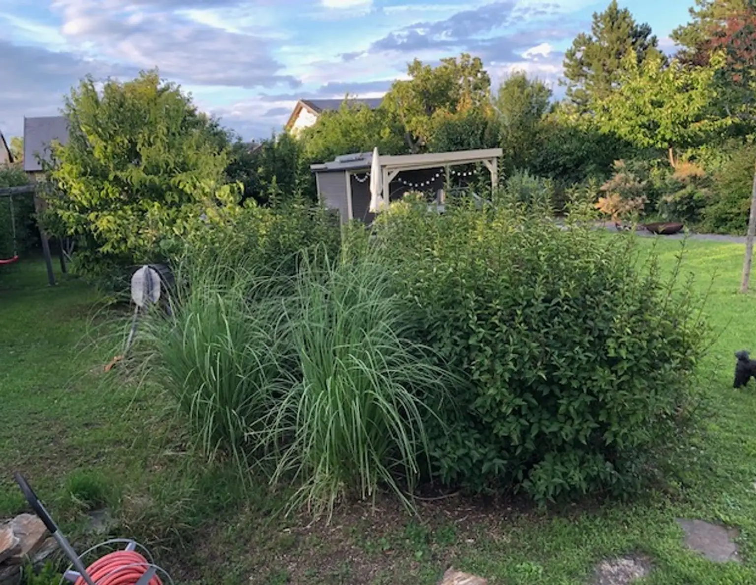 30 min nach Wien - Toplage in Kottingbrunn