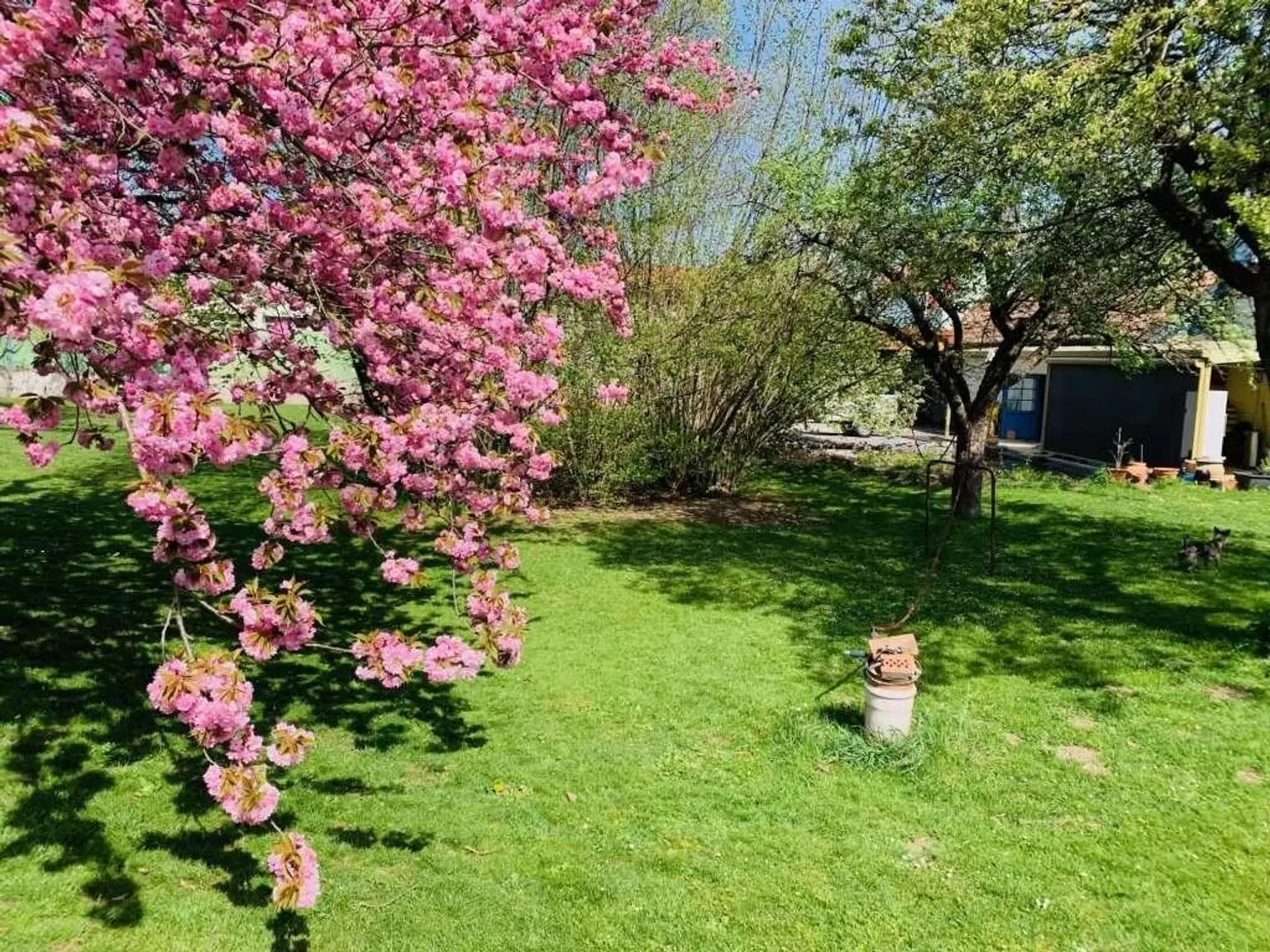 Sehr viel Platz im Haus und auch im traumhaften Garten