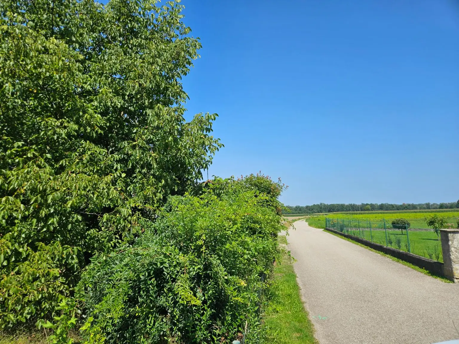Baugrund