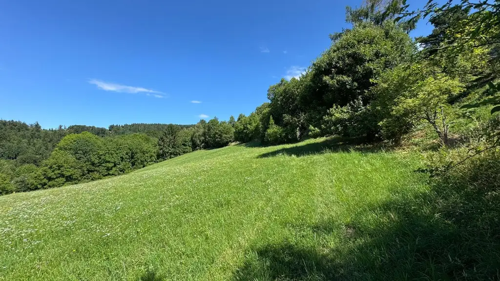 Baugrundstück mit sonniger Aussichtslage, 8045 Zösenberg, nahe Graz!