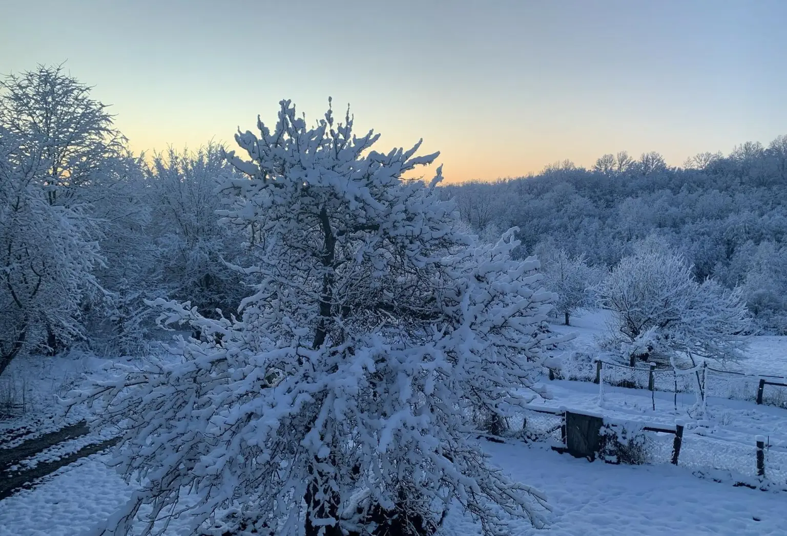 Anwesen 20 ha + Haus -41