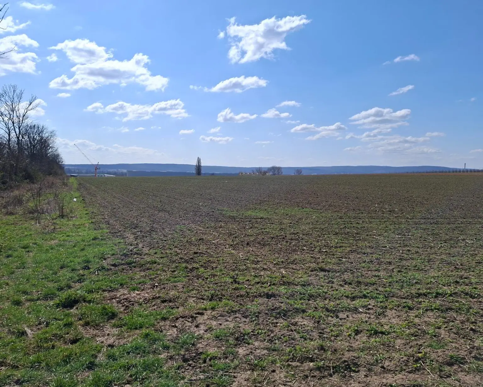 01. Baugrund 2460 Bruck an der Leitha