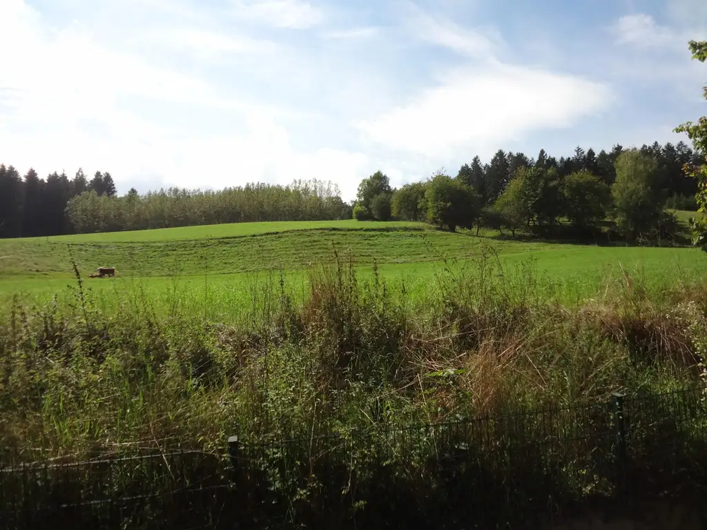 GROSSES LANDHAUS MIT SCHÖNEM GARTEN!