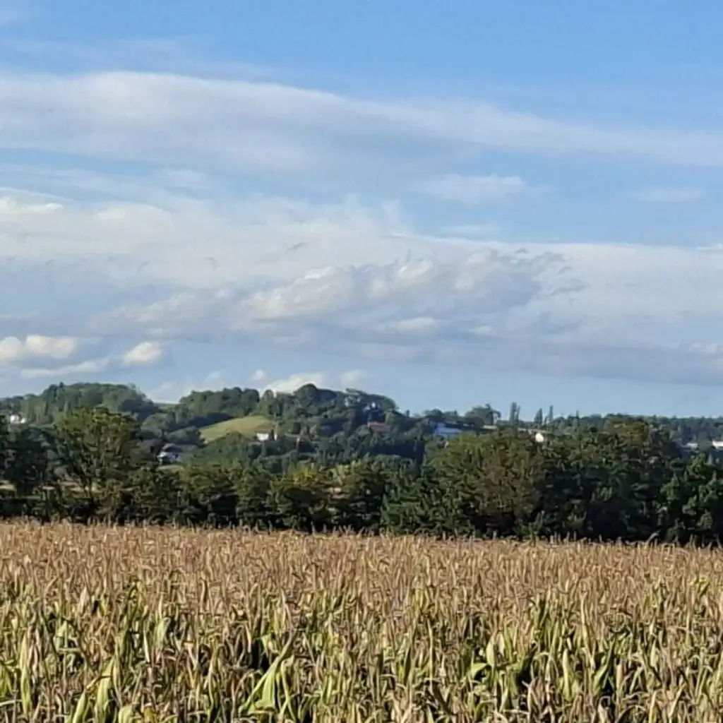 Anlageobjekt  - Eigener Anteil an einem sanierten, historischem Bauernhof -Garantierter MIeter