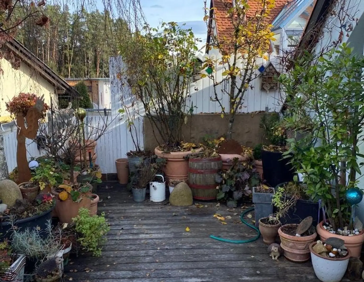 Top-Wohnung in Graznähe