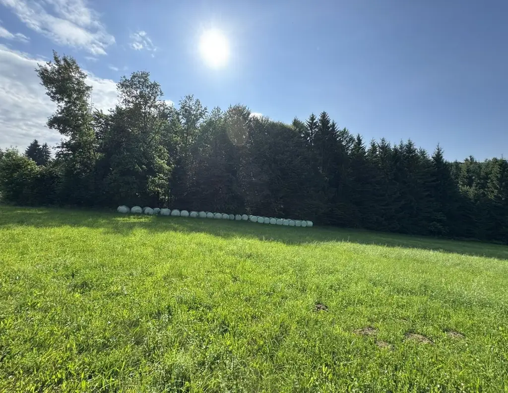 St. Oswald b. Plankenwarth! Herrliches Grundstück in ruhiger Sonnenlage!