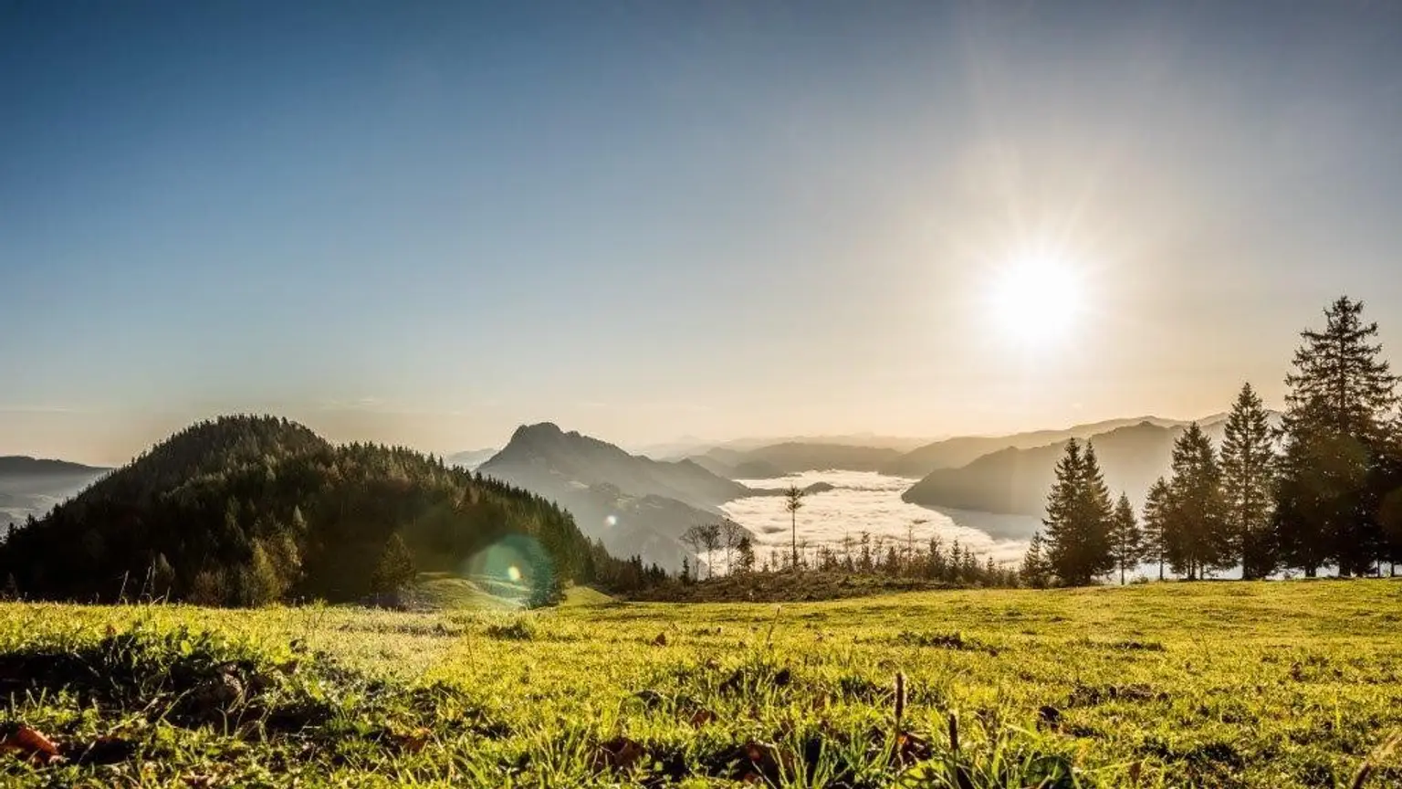 Landsitz in traumhafter Alleinlage