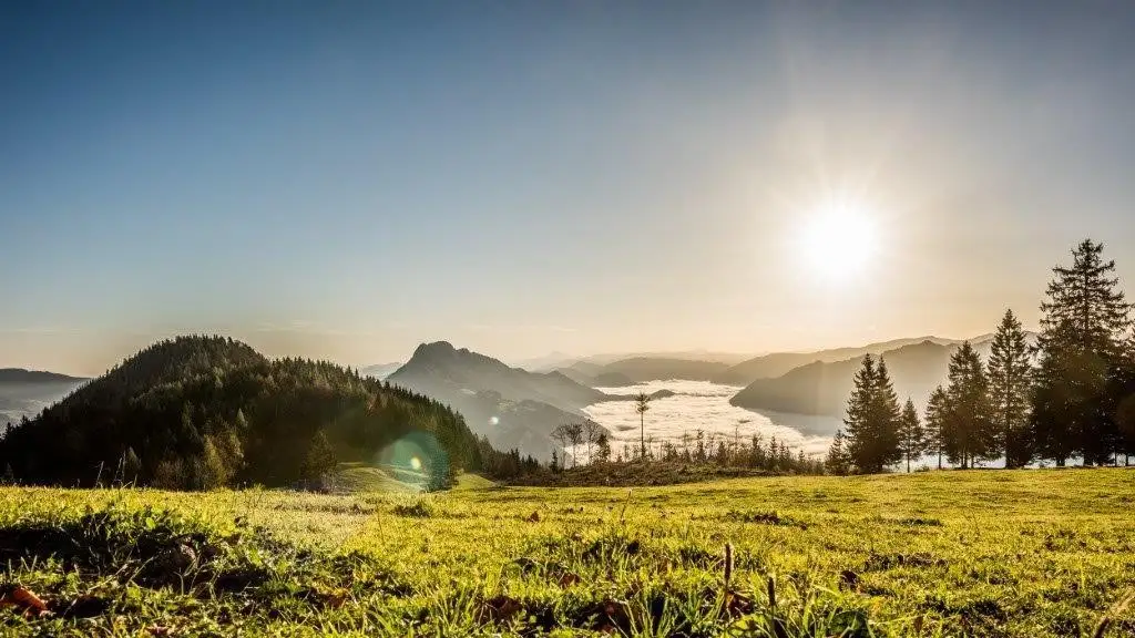 Landsitz in traumhafter Alleinlage