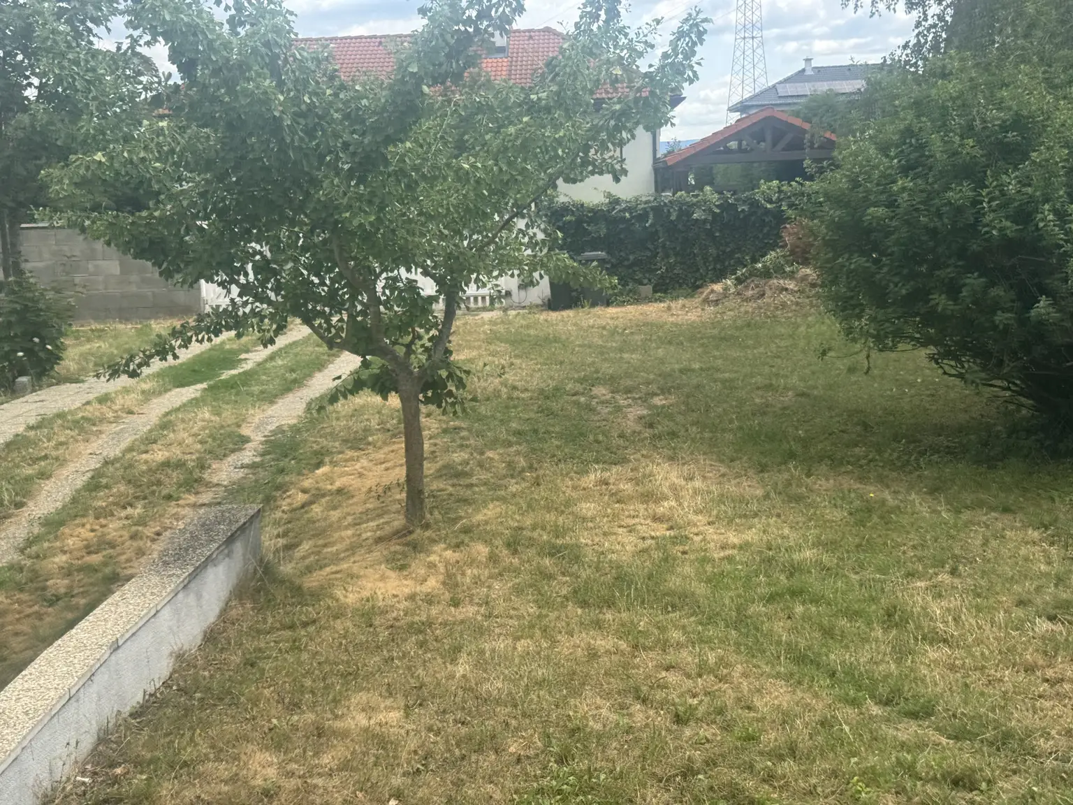 Garten vor dem Haus