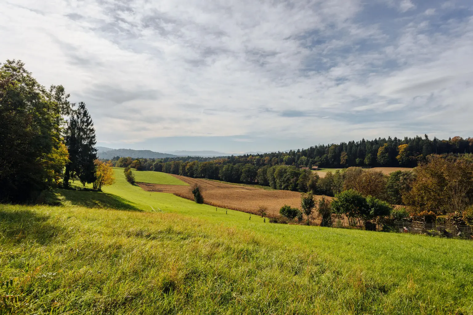 Baugrund mit altem Gebäude und Bauerwartungsland mit Weganteil im Zentrum von Hengsberg