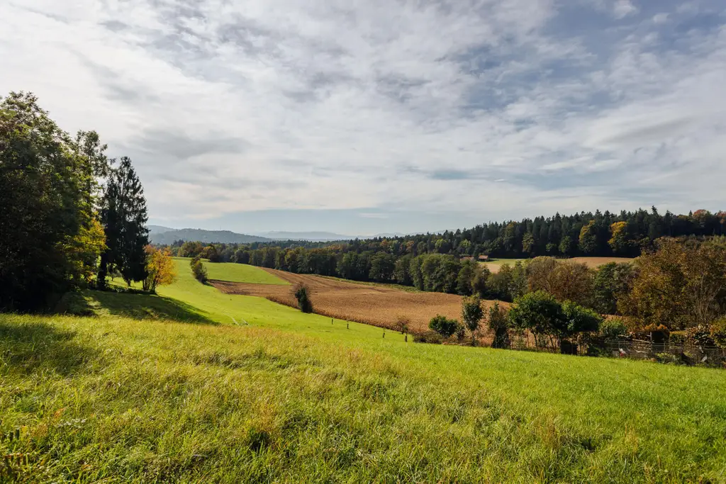 Baugrund mit altem Gebäude und Bauerwartungsland mit Weganteil im Zentrum von Hengsberg