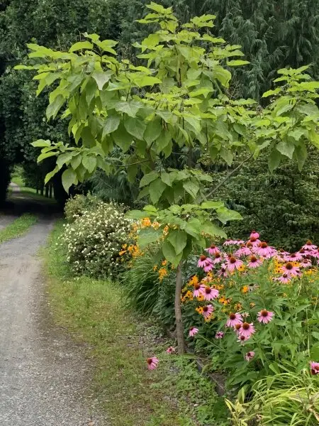 Landhaus in Alleinlage