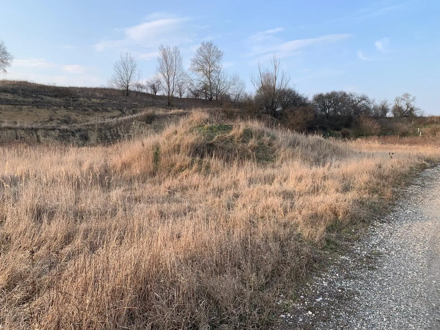 INDUSTRIEGRUNDSTÜCK - 40 Minuten vor Wien