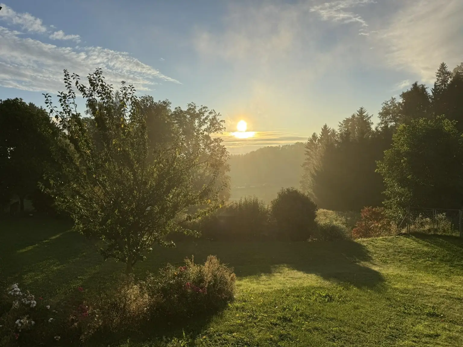 Garten Morgenstimmung
