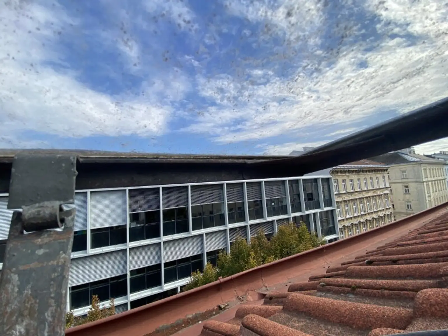 Mittelzinshaus mit bewilligten Dachbodenausbau