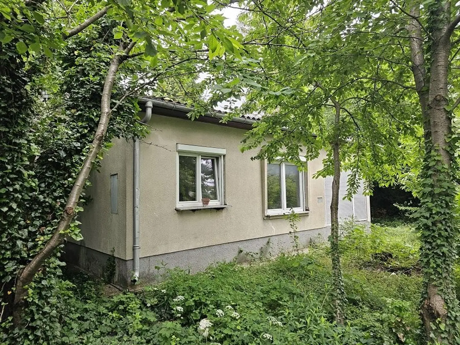 "SANIERUNGSPROJEKT MIT VIEL POTENZIAL | ca. 1.085 m² Grundstücksfläche | Ruhelage in Mitterndorf an der Fischa"