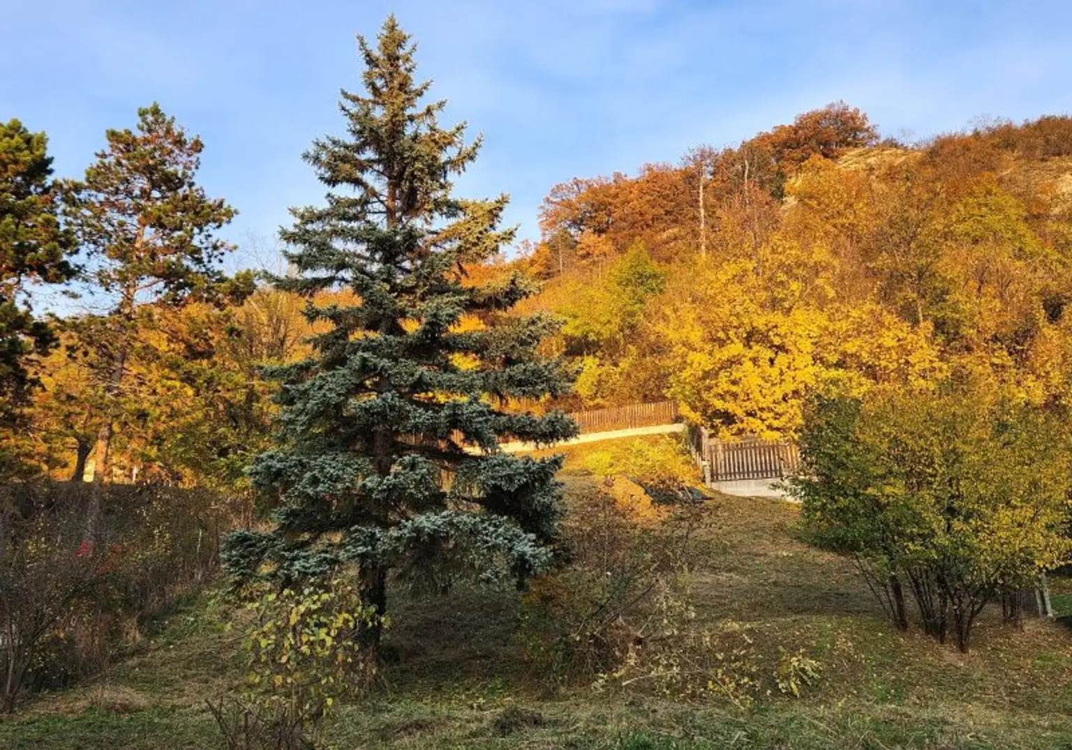 Renovierungsbedürftiges Einfamilienhaus auf 2.391 m² Eigengrund