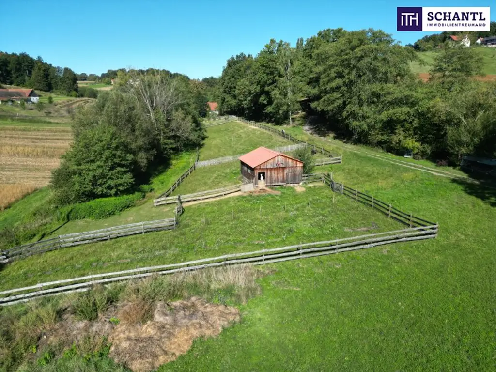 SENSATIONELLES JUWEL! Exklusiver Vierkanthof im Thermenland Steiermark – Wohnen, Reiten & Leben mit Pool und Natur!