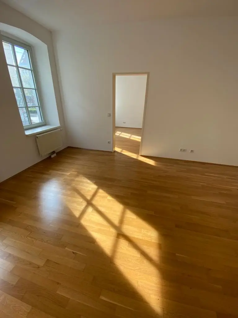 Zimmer I