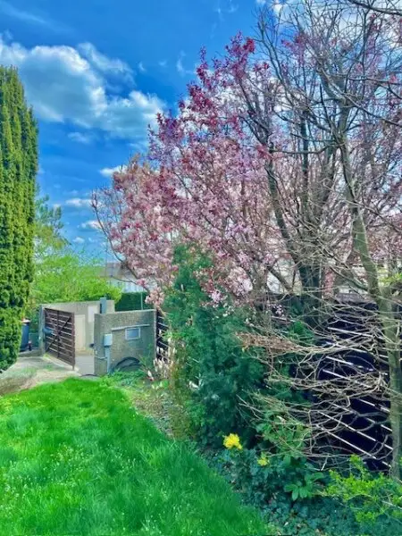 EXQUISITES EIGENHEIM - EinfamilienHaus in ruhiger Sonnenlage - MARIA ENZERSDORF!