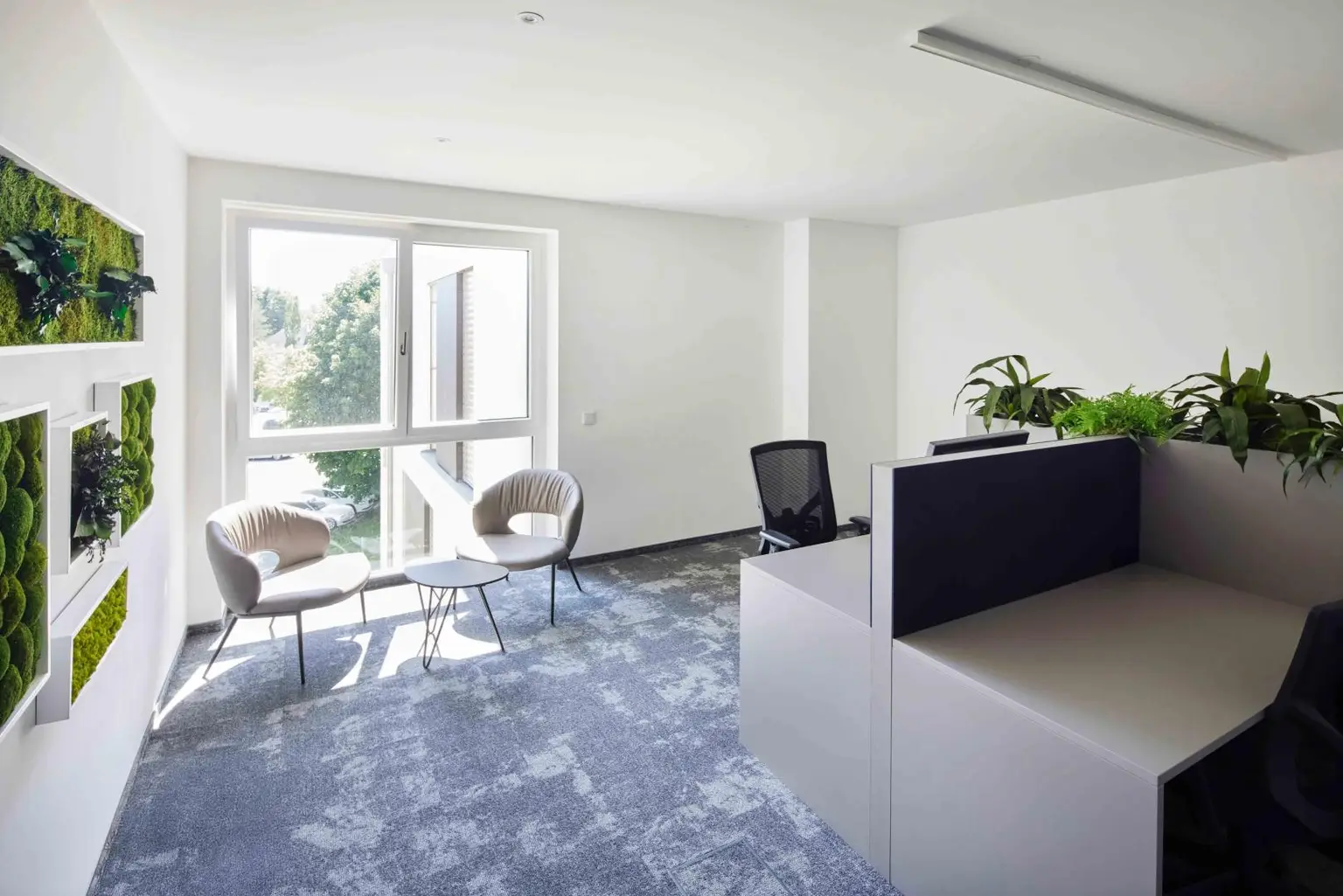 SCL_Workspace Anleger