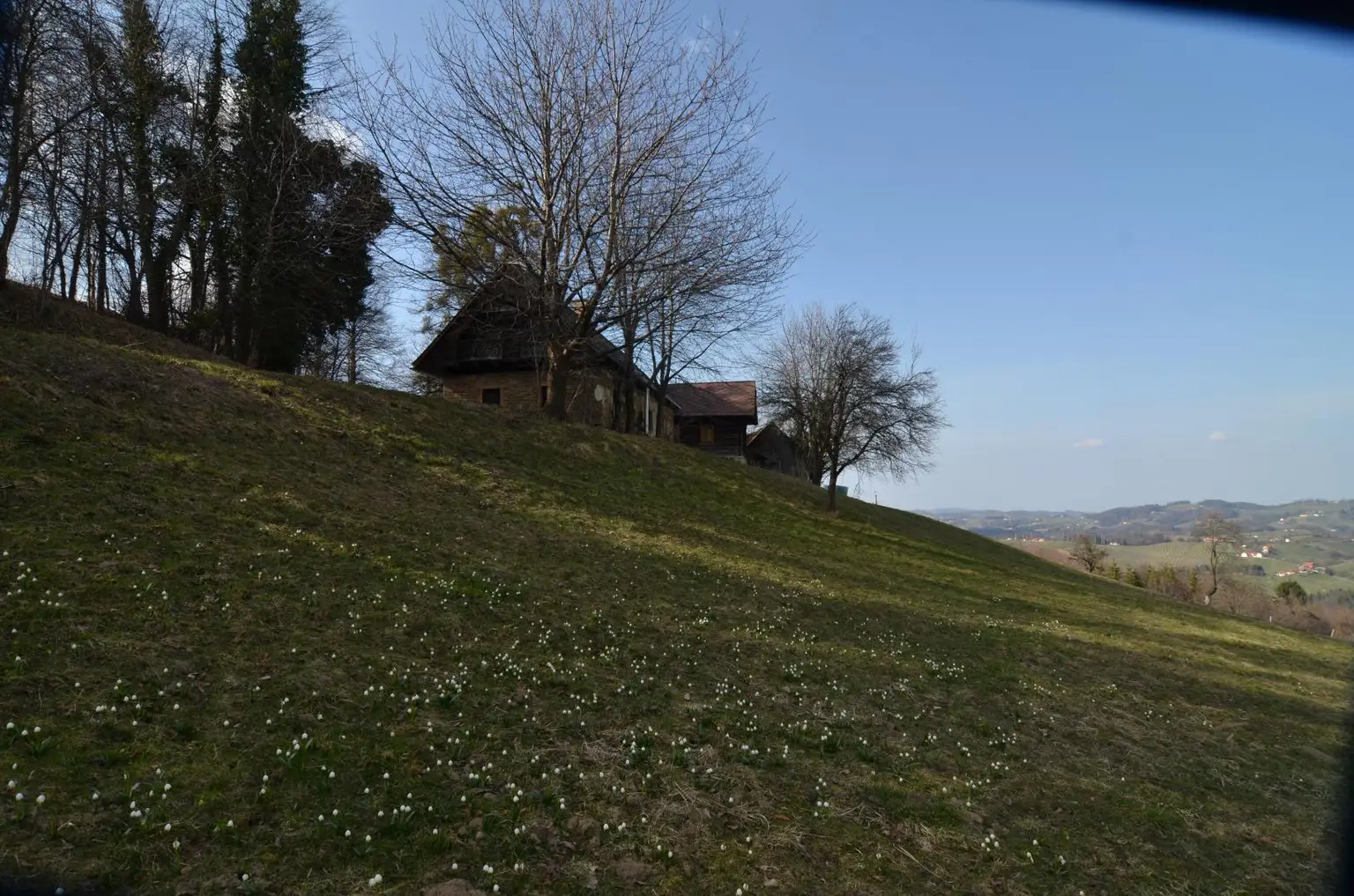 Ansicht Gebäude Ost