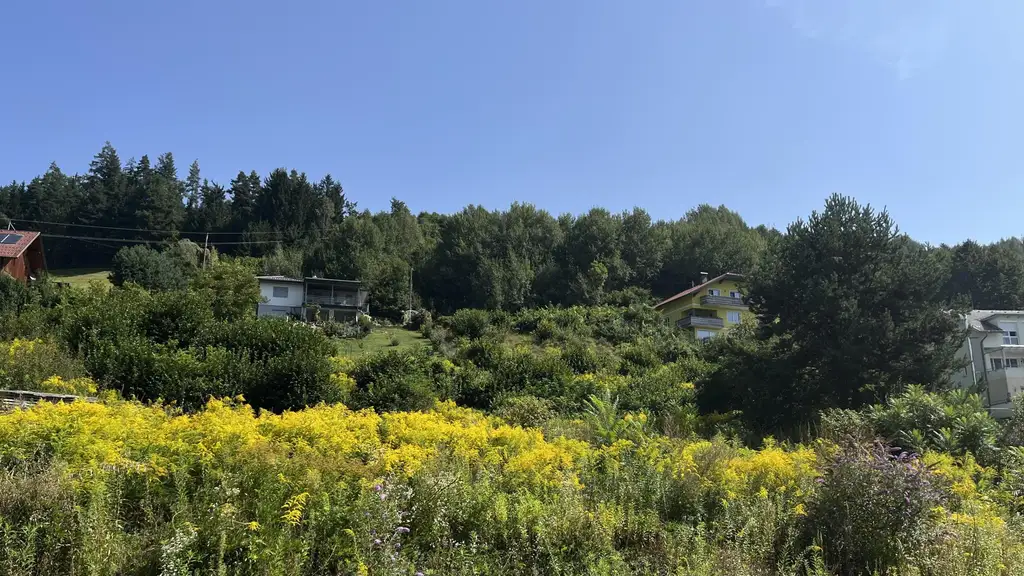Besondere Akzente - Premium Wohnoase in Seeboden am Millstätter See