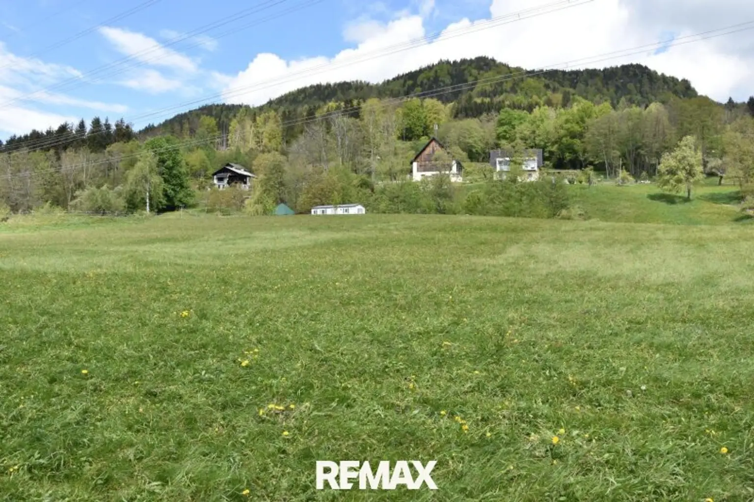 Blick über die Wiese