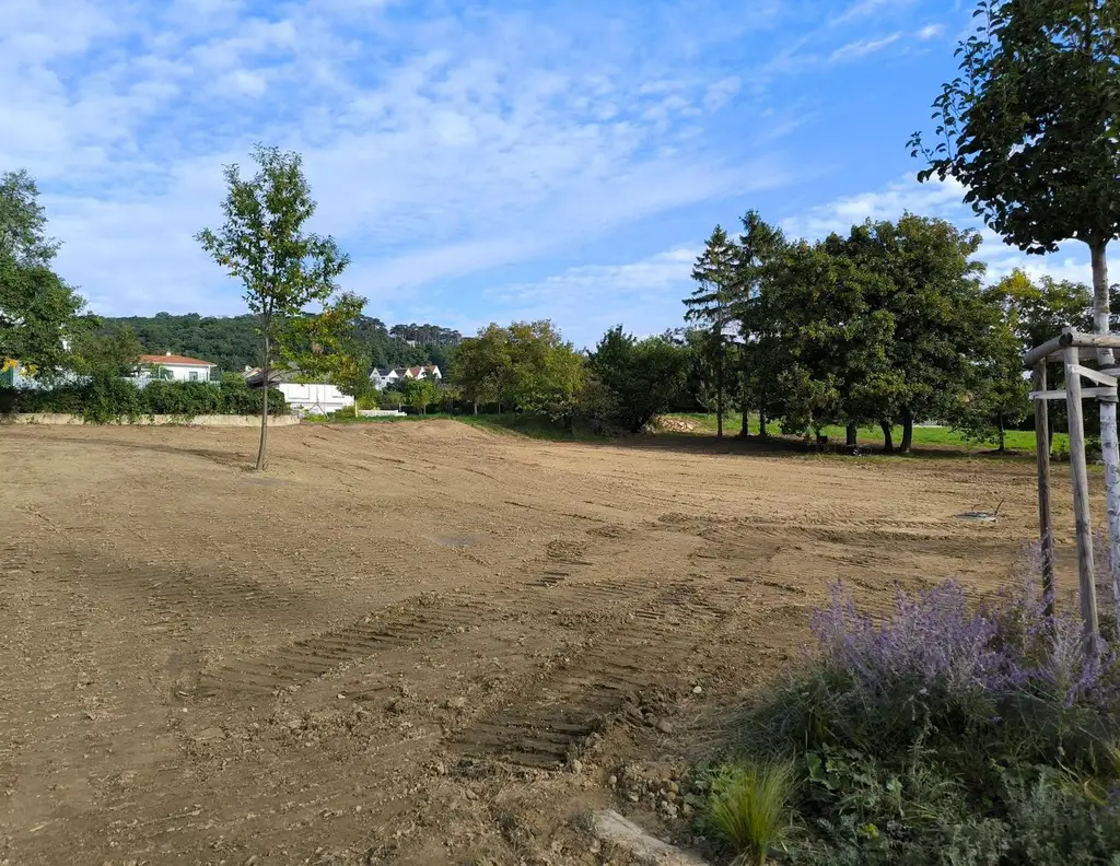 Traumhaftes Grundstück in Eisenstadt am Oberberg - 729 qm für Ihr Bauprojekt (Provisionsfrei)