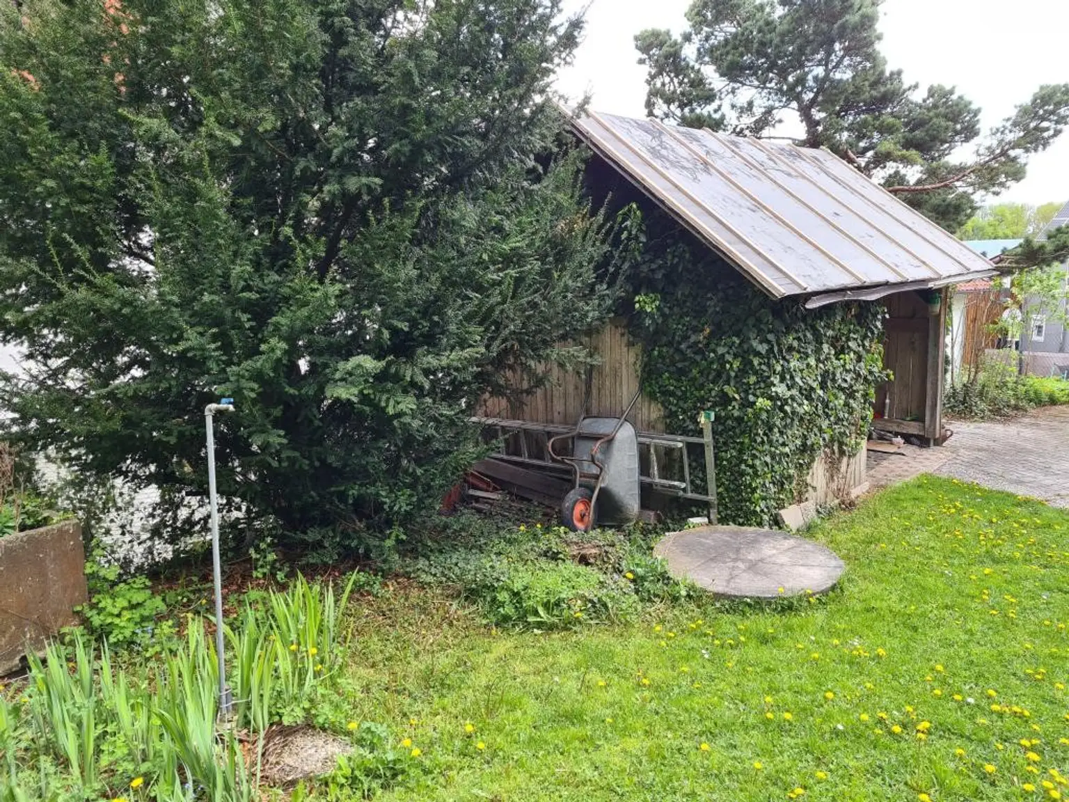 Schuppen & Brunnen