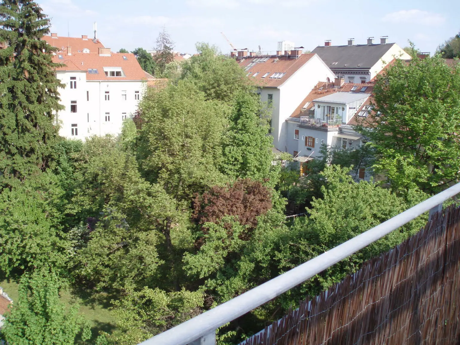 Blick von der Terrasse