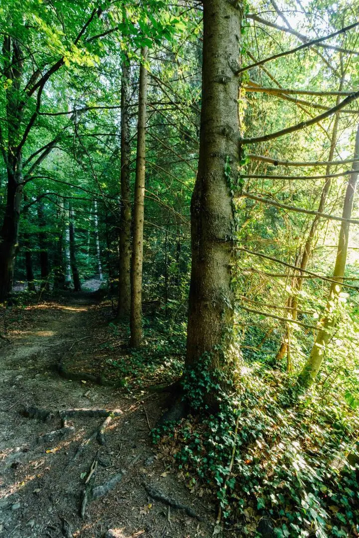 8047 Waltendorf 2-Zimmer Mietwohnung mit 2 Loggien im Grünen!